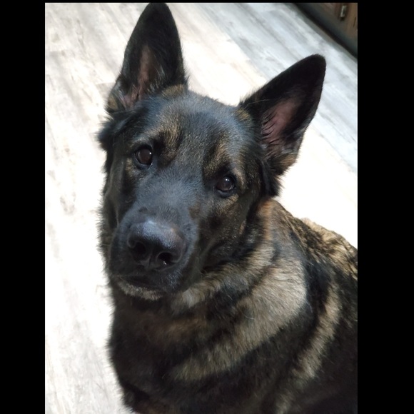 Meet your fellow Posh Ambassador, Sammy Lynn💕 - Picture 2 of 2